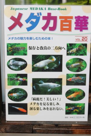 画像1: NEW!めだか百華　VOL．20