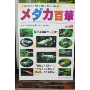 画像: NEW!めだか百華　VOL．20