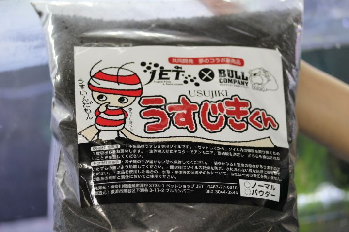 画像: うすじきくん、黒ぶるなど入荷